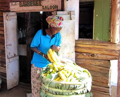 Borrowers business selling bananas in the market