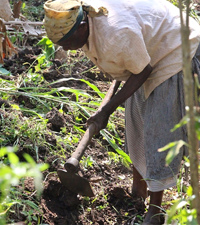 Woman Farmer Business